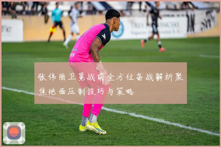 张伟丽卫冕战前全方位备战解析聚焦地面压制技巧与策略